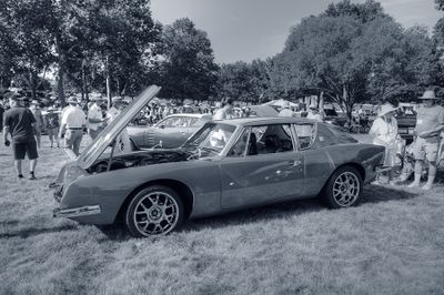 g13/74/89074/3/174761765.32a65359.JPEG