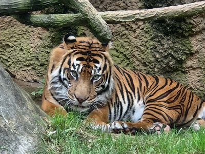 The Zoo Louisville