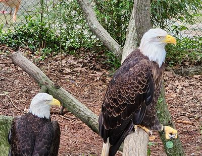 The Zoo Louisville