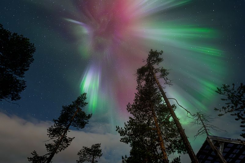 NORTHERN LIGHTS