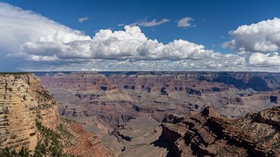 20250429-_DSC6365-2.jpg