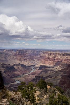 20250429-_DSC6475-2.jpg