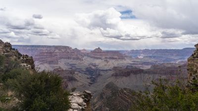 20250429-_DSC6375-7.jpg