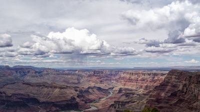 20250429-_DSC6480_DxO-2.jpg