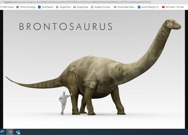 co2bronto.jpg