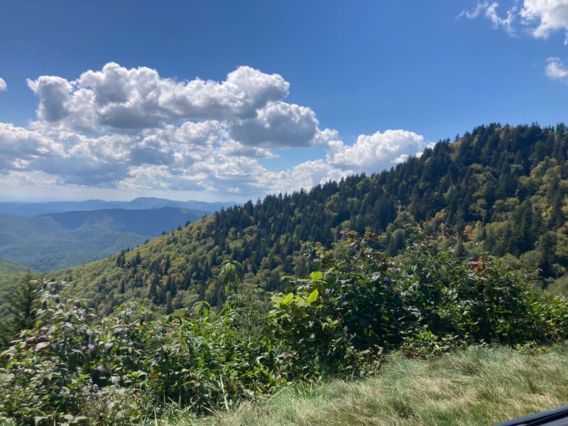 IMG_2042.jpeg