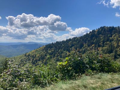 IMG_2042.jpeg
