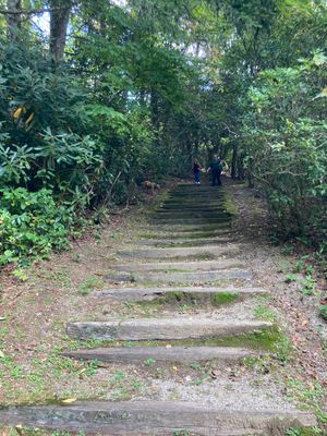 IMG_2107.jpeg