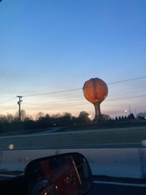 g13/75/215575/3/175333751.90c69774.JPEG