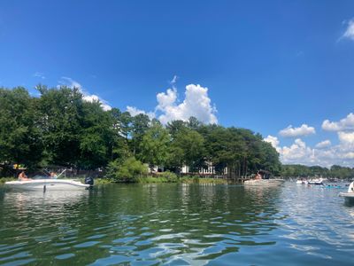 IMG_7972.jpeg