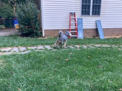 IMG_8020.jpeg