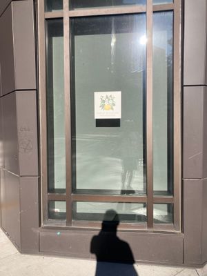 IMG_0436.jpeg