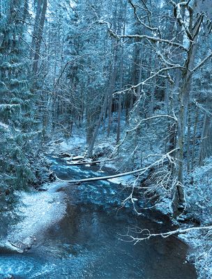 Wintery