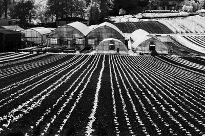 Joe's Garden
