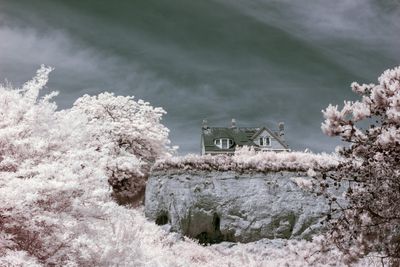 The house on the hill
