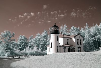 Lighthouse among Trees