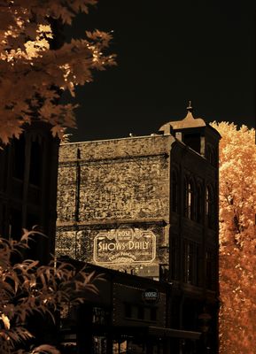 The Rose Theatre