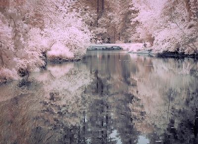 Sitting at the end of the pond