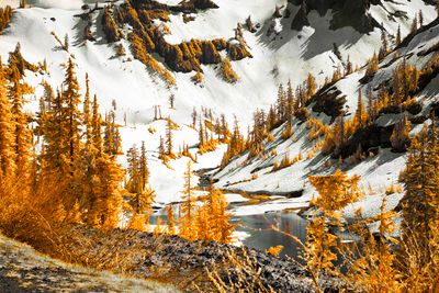 Autumn, on fire