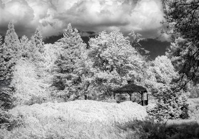 The gazebo