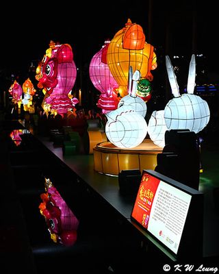 Lunar New Year Lantern Displays DSC_8877