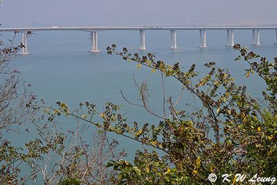 Fu Shan DSC_9844