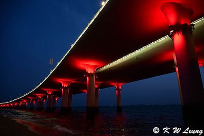 Yanwu Bridge @ night DSC_5482