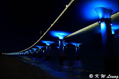 Yanwu Bridge @ night DSC_5486