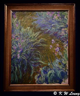 Irises by Claude Monet DSC_6131