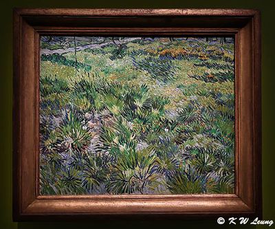 Long Grass with Butterflies by Van Gogh DSC_6132