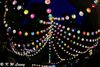 Lanterns @ Blue House DSC_0674