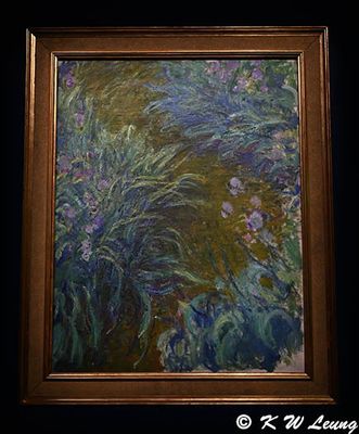 Irises by Claude Monet DSC_6121