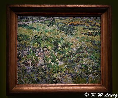 Long Grass with Butterflies by Vincent van Gogh DSC_6115