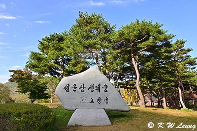 Seonunsan Ecological Forest DSC_0753