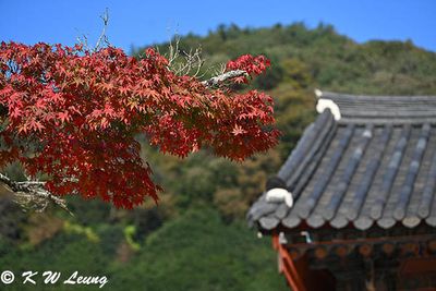 Temple Seonunsa DSC_0788