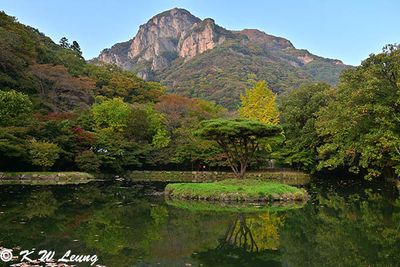 Naejangsan DSC_0979