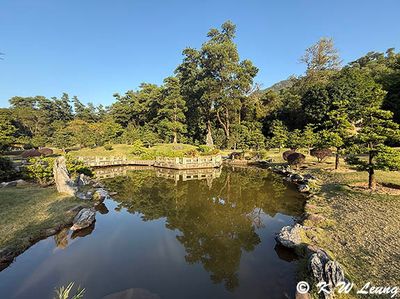 Buddhist Pine Garden IMG_2805