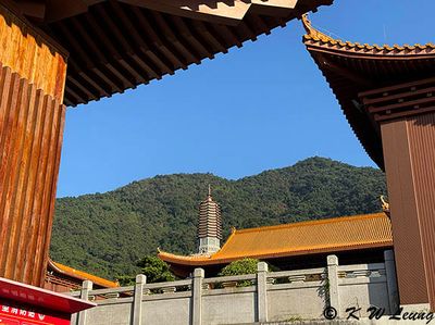 Hongfa Temple IMG_2787