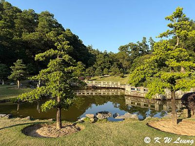 Buddhist Pine Garden IMG_2801