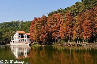 Fairy Lake Botanical Garden DSC_2070