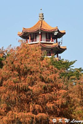 Dragon Pagoda DSC_2207