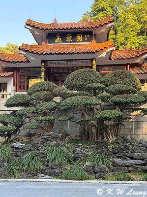 Bonsai Garden IMG_2820