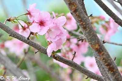g13/75/35275/3/175219161.4cb4a60b.JPEG