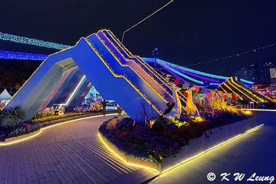 IMG_4245