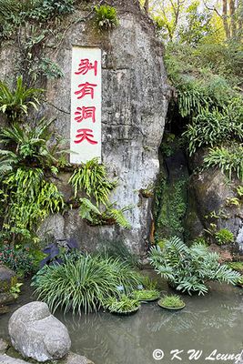 IMG_3515