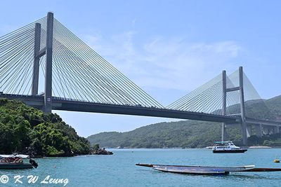 Tsing Ma Bridge DSC_3610