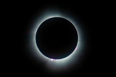DSC_8183.jpg