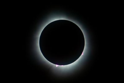 DSC_8184.jpg