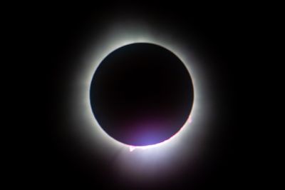 DSC_8187.jpg