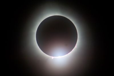 DSC_8188.jpg